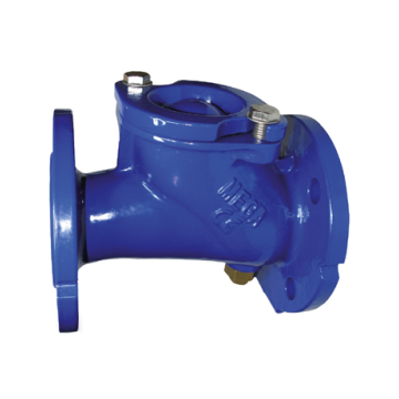 Ball Check Valve With Lifting Device
