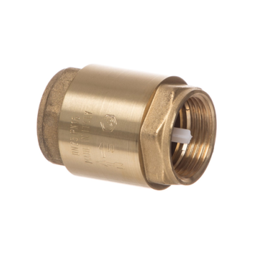 Non Return Valve