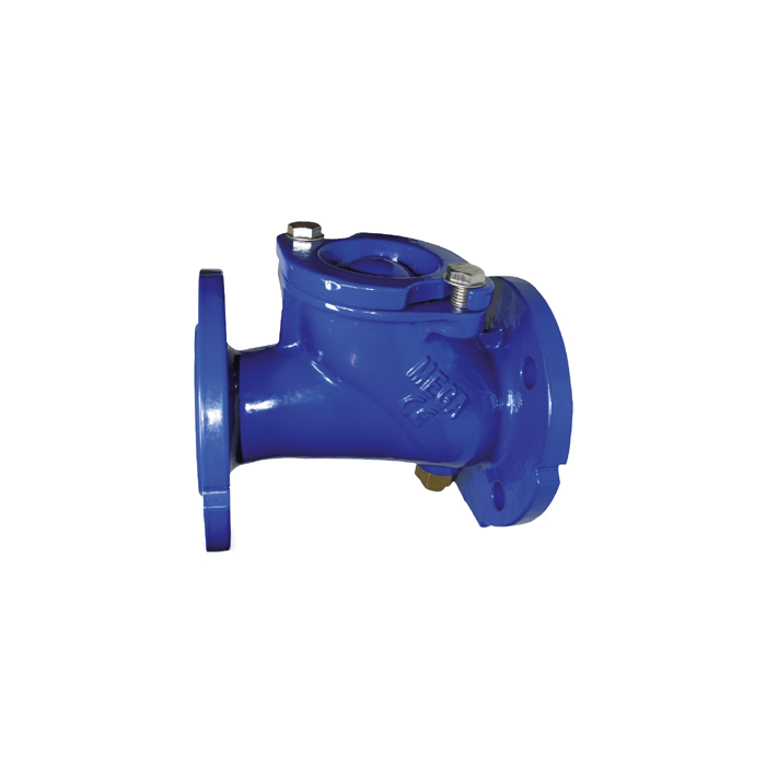 Ball Check Valve With Lifting Device Ball Check Valve With Lifting Device