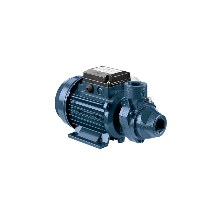 Ebara PRA Peripheral Pumps